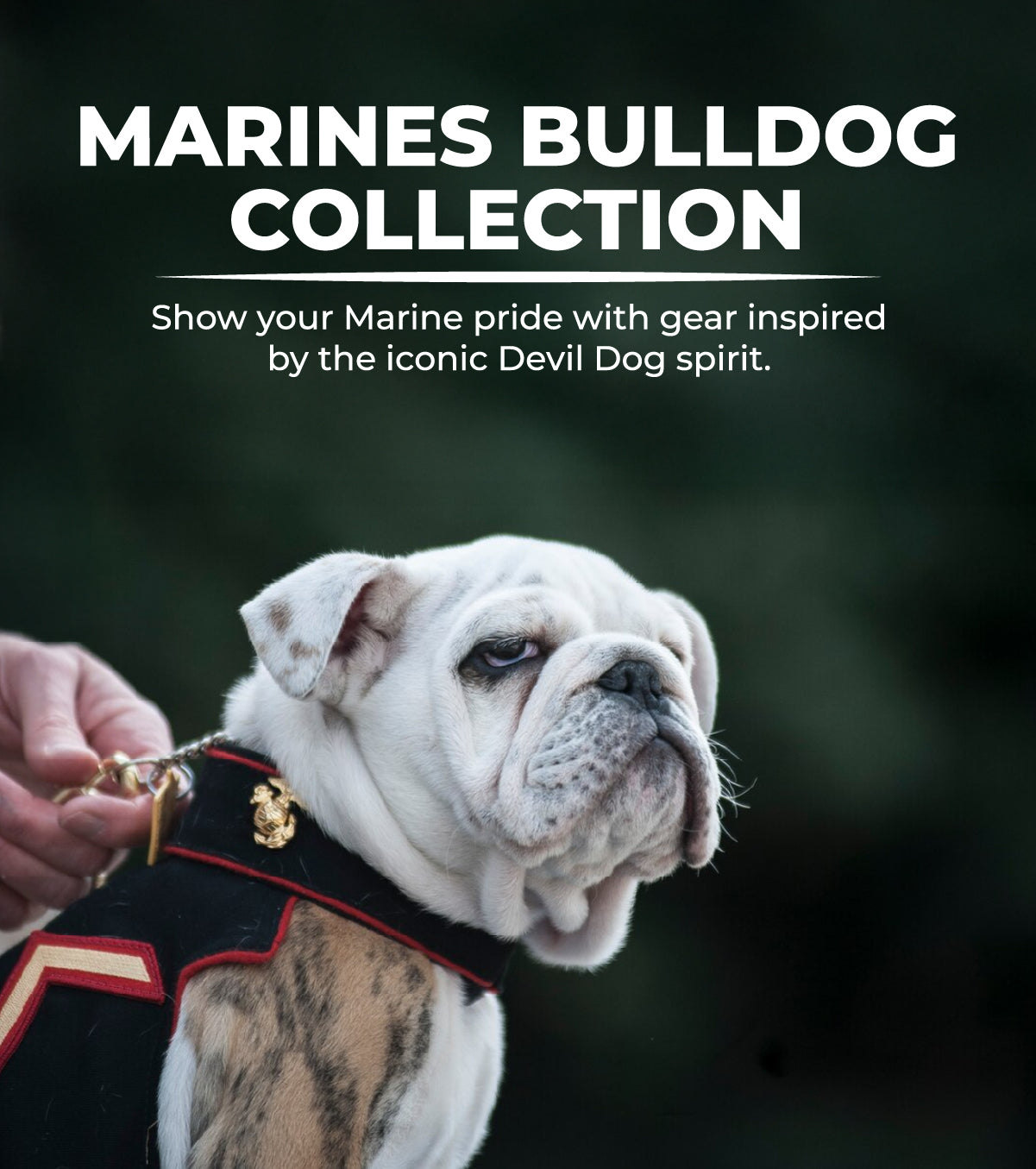 Marine Bulldog – Armed Forces Gear