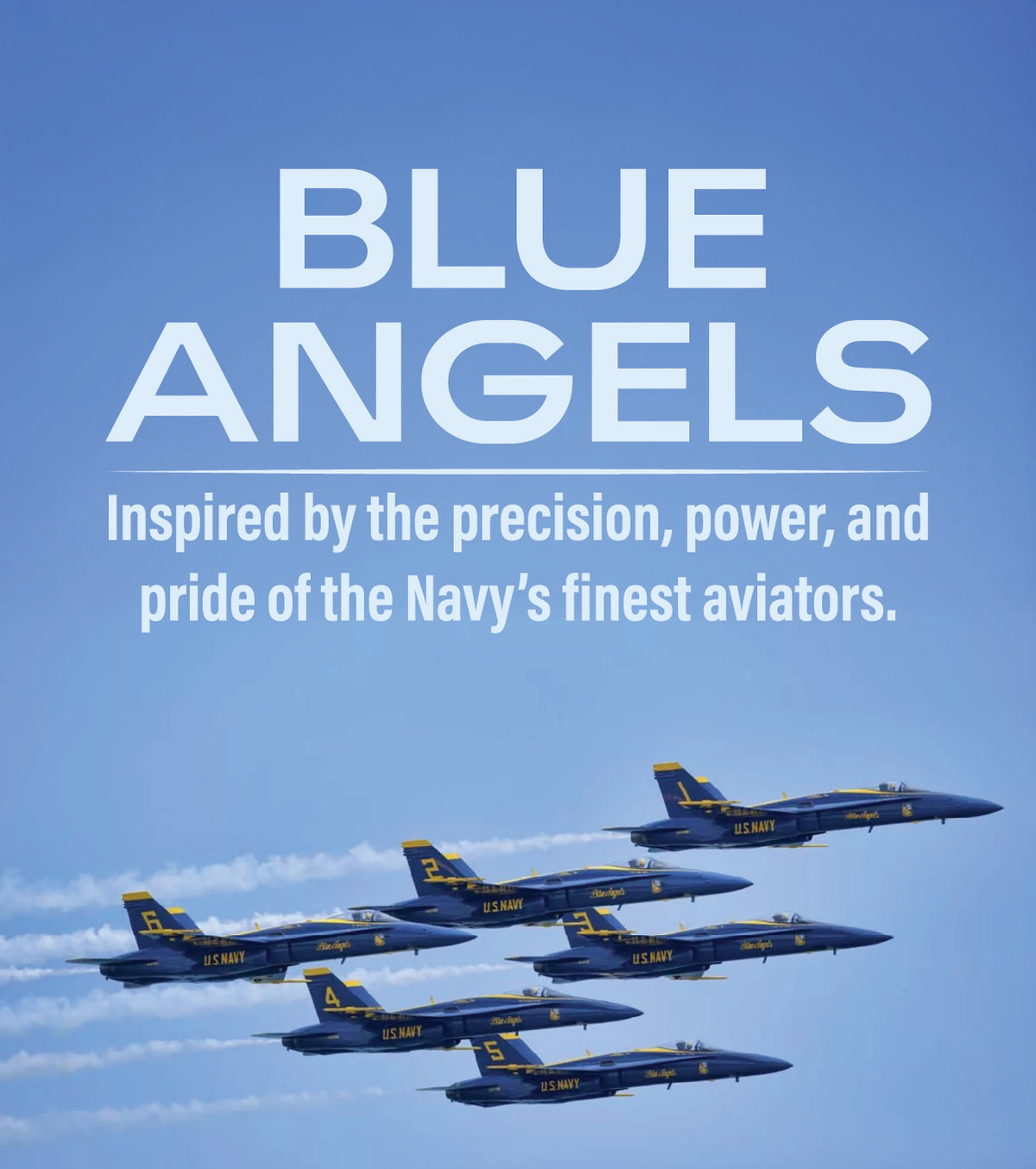 blue angels logo on military aircraft fuselage Stock Photo blue angels logo on military aircraft fuselage Stock Photo