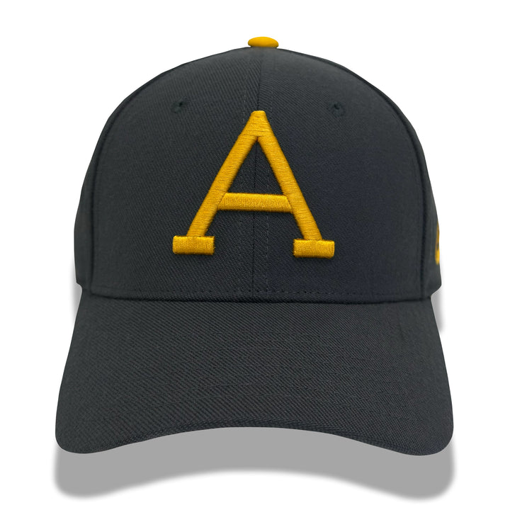 West Point Nike USMA A Men's Swoosh Flex Hat (Anthracite)