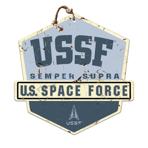 Space Force Rustic Badge Logo Sign