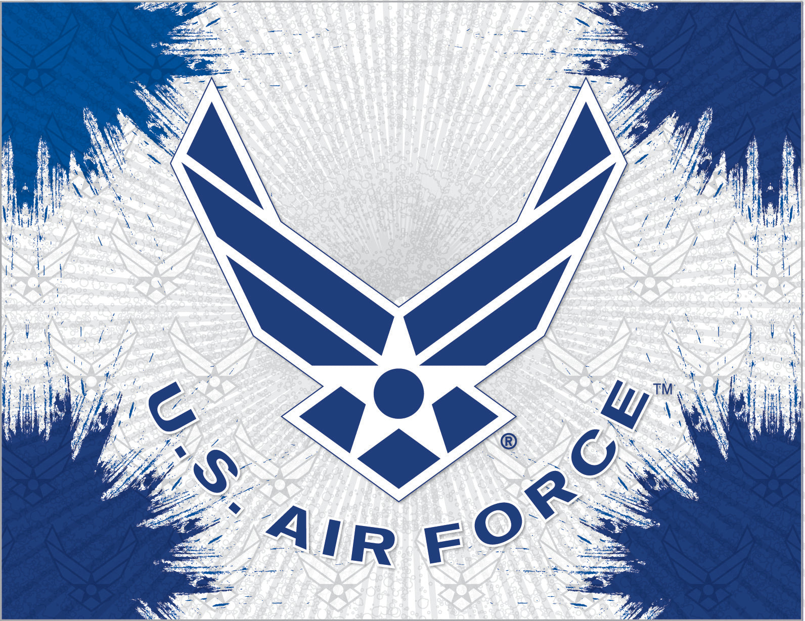 United States Air Force Burst Wall Art