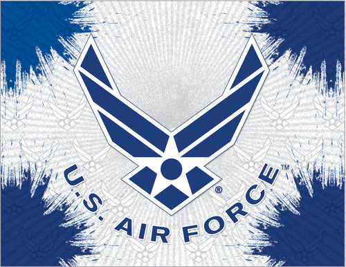 United States Air Force Burst Wall Art*