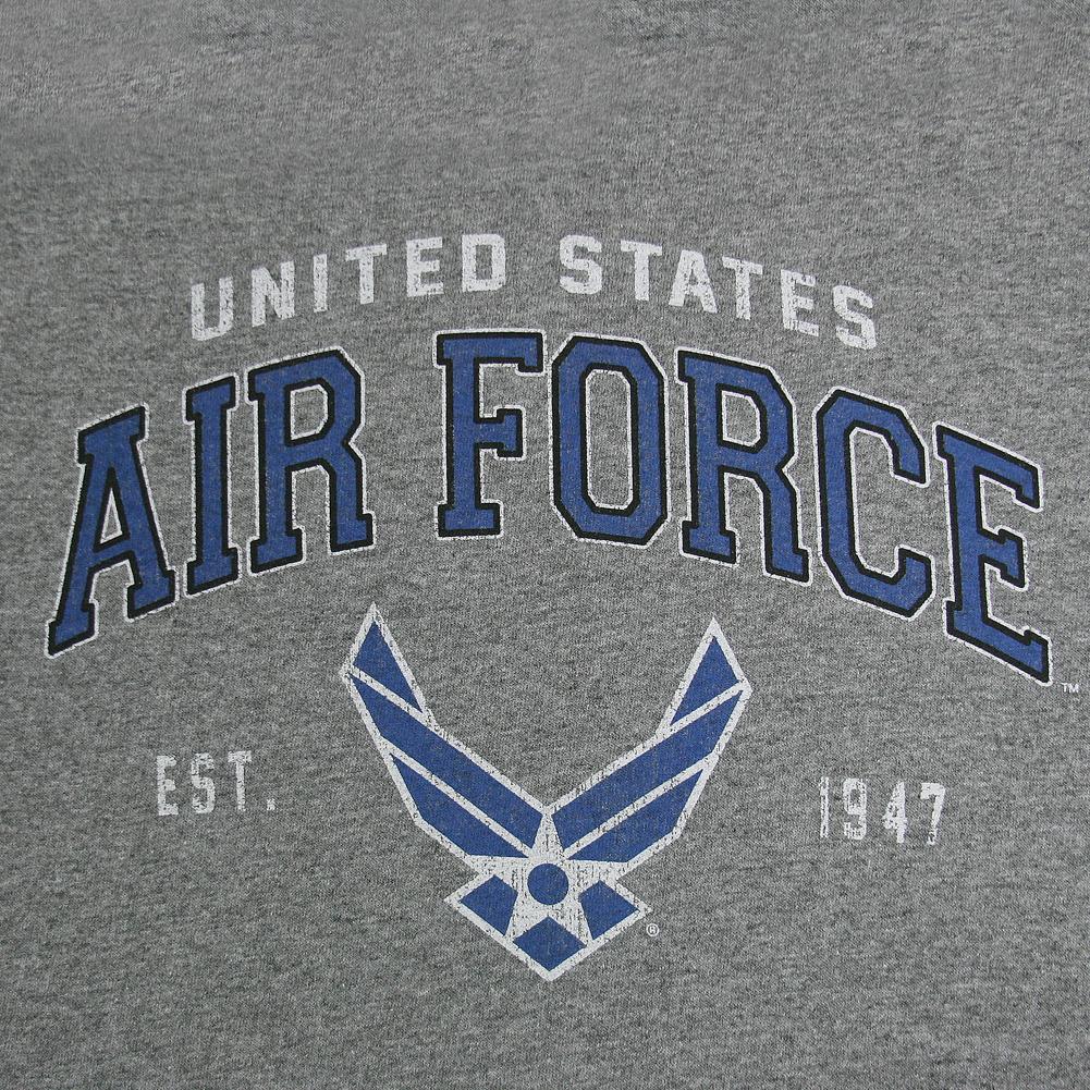AIR FORCE WINGS EST. 1947 HOOD (GREY) 1