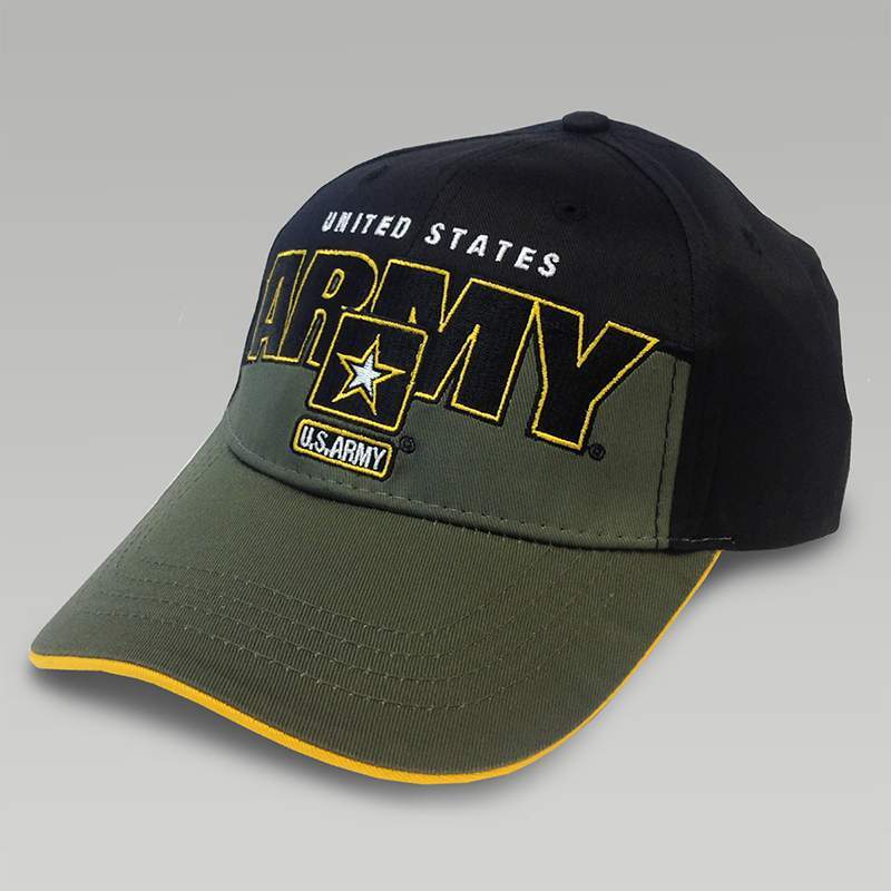 ARMY SKYLINE WINGS HAT 2