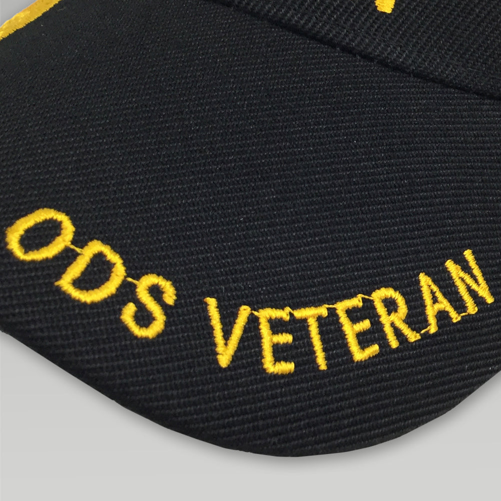 DESERT STORM VETERAN MEDAL CAP 5